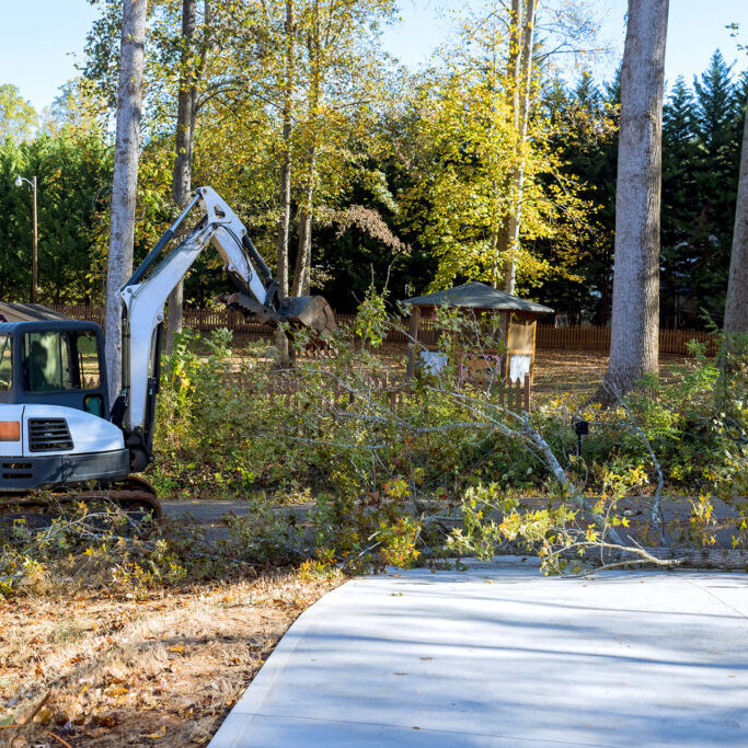 Uprooted trees line streets after hurricane near home, using assisted skid steer tractor street cleanup